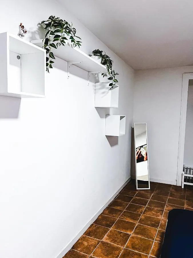 Terno Su Napoli Apartments